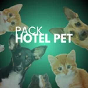 Imagem de capa para o Curso online PACK HOTEL PETS
