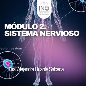 Imagen de portada para Curso online Sistema Nervioso - Módulo 2 de 10 - Diplomado de Oleoterapia