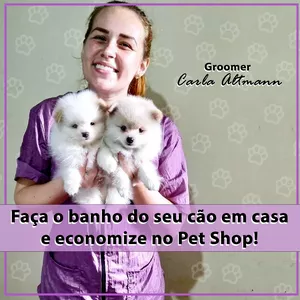 Imagem de capa para o Curso online Faça o banho do seu pet em casa, com resultado de Pet Shop