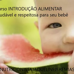 Imagem principal do produto Curso INTRODUÇÃO ALIMENTAR  saudável e respeitosa para seu bebê
