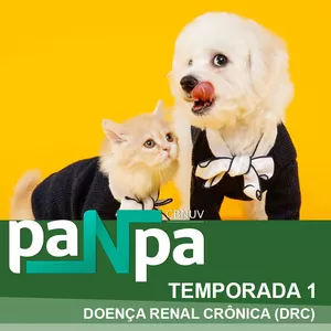 Imagem do curso PaNpa temporada 1 Doença renal crônica (DRC)