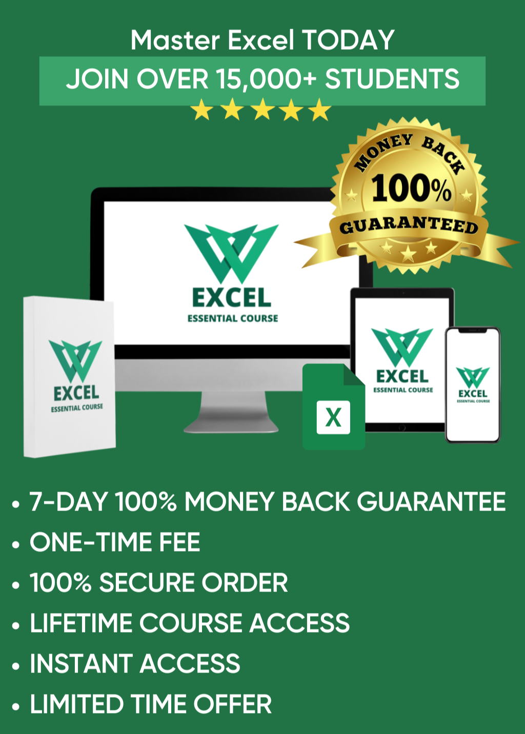 🟢 EXCEL ESSENTIALS COURSE