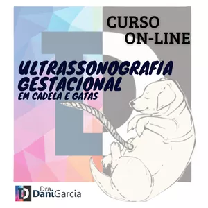 Imagem de capa para o Curso online Curso On-line de Ultrassonografia Gestacional em Cadelas e Gatas