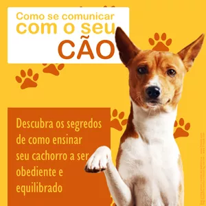 Imagem de Como se comunicar com o seu cão criado por Mateus Pimenta na hotmart