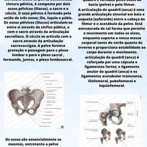 Imagem de capa para o Ebook Membros Inferiores 