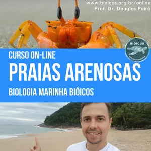 Imagem do curso Praias Arenosas EaD: Instituto Bióicos