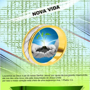 Imagem de capa para o Ebook NOVA VIDA