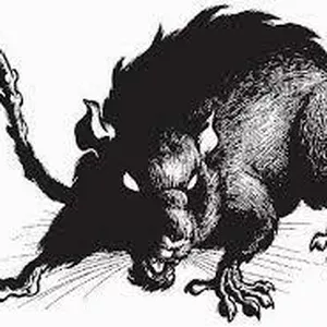 Imagem principal do produto Conto de suspense (+18) - “O Rato”