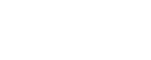 Luca Verzeni Business School logo