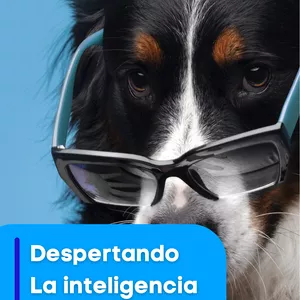 Imagen de portada para Ebook Despertando la inteligencia de los perros
