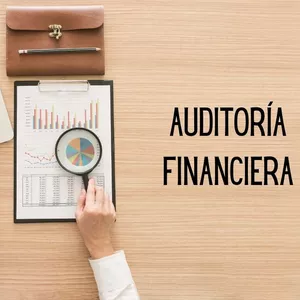 Imagen de portada para Ebook Planeamiento y evaluación de riesgos en la auditoria