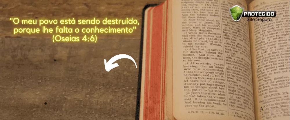 TODOS os versículos de Apocalipse explicados