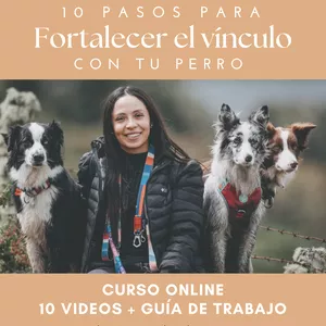 Imagen de portada para Curso online 10 PASOS PARA FORTALECER EL VÍNCULO CON TU PERRO