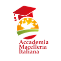 AMI Academy logo
