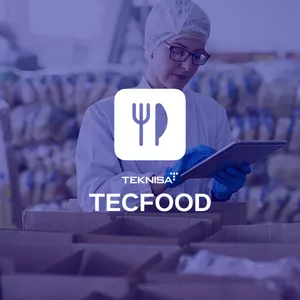Imagem de capa para o Curso online TecFood Delphi - Estoque