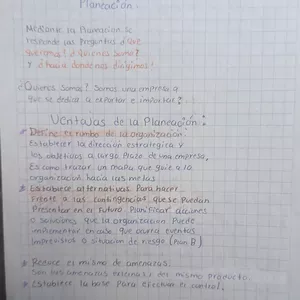 Imagen de portada para Ebook Etapas del proceso Administrativo 