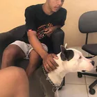 Rodrigues