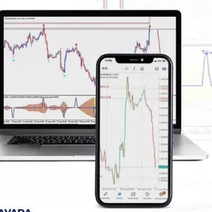 Imagem de capa para o Curso online forex Blue mode