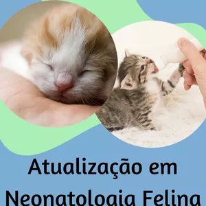 Imagem do curso Atualização em neonatologia felina