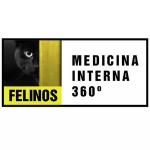 Imagen de portada para Curso online FELINOS: Medicina Interna 360 2022