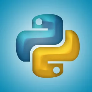 Cover image for Online course Python workshop