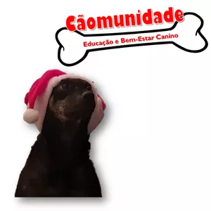 Imagem de capa para o Serviço online Consultorias &amp; eBook Cão Equilibrado - Revolucione a vida do seu cãozinho e de quebra não gaste mais com adestradores! Aprenda a se comunicar e a educar seu cão no dia a dia! | eBook + 3 consultorias online