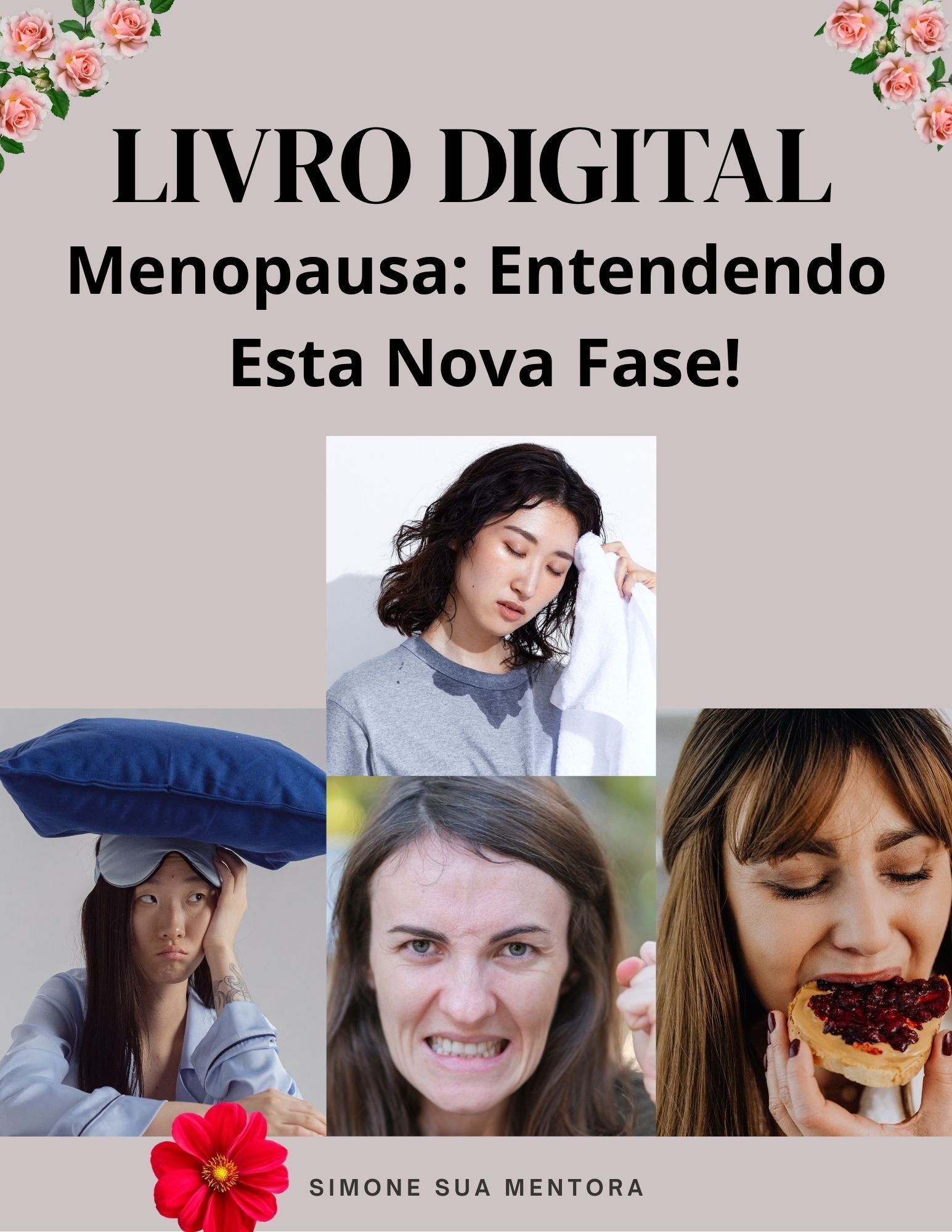 Menopausa- Entendendo esta Nova Fase — imagem 3