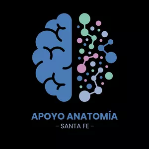 Imagen de portada para Curso online APRENDE ANATOMIA 