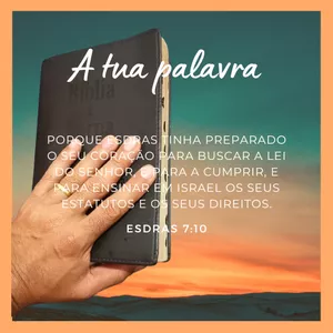 Imagem de capa para o Curso online BÍBLIA SAGRADA COMENTADA: CURIOSIDADES, POLÊMICAS E DOUTRINA