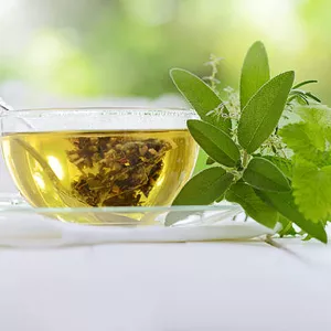 Imagem de capa para o Ebook VIVER SAUDÁVEL