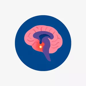 Imagen de portada para Curso online Dominando la Ansiedad