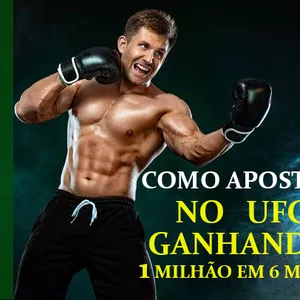 Imagem de capa para o Ebook RECEITA PARA LUCRAR COM UFC