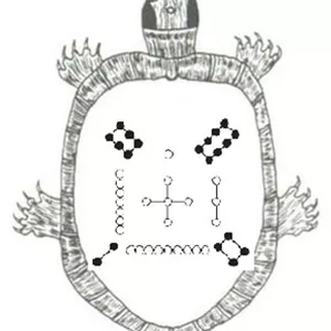 Imagem do curso Cronoacupuntura – Acupuntura do Relógio Biológico