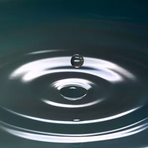 Imagem de capa para o Curso online Meditação Compassiva - Programa de aprendizado e prática