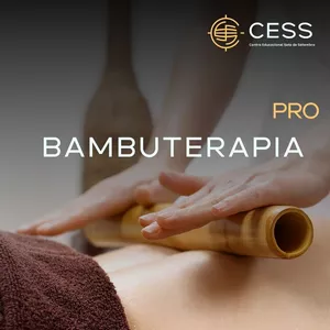 Imagem de capa para o Curso online Curso Bambuterapia Pro