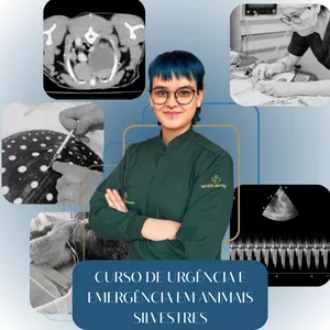 Urgência e Emergência em Animais Silvestres