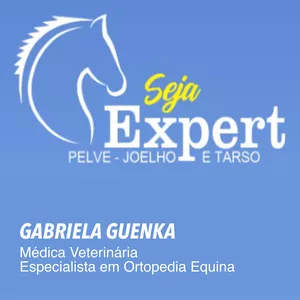 Imagem de ULTRASSONOGRAFIA EM EQUINOS : PELVE, JOELHO E TARSO - SEJA EXPERT VET - Medica Veterinária Dra. Gabriela Guenka criado por Gabriela Guenka na hotmart