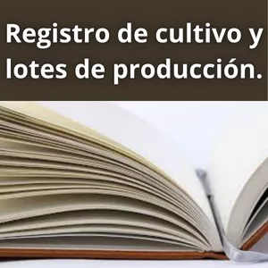 Imagen de portada para Curso online Registro diario de producción