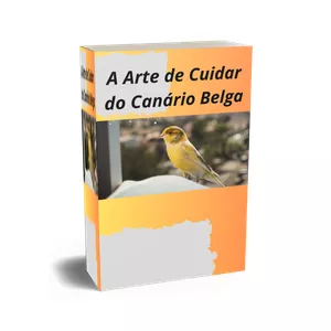 Imagem de capa para o Ebook A Arte de Cuidar do Canário Belga