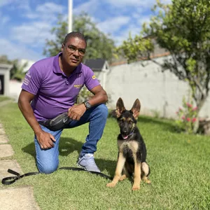 Imagem de Treine Seu Cão: O Essencial criado por Wgp Adestramento na hotmart