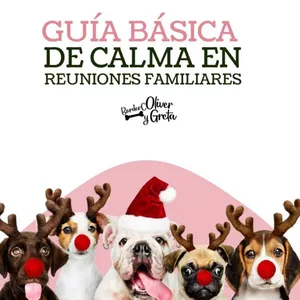 Imagen de portada para Ebook GUÍA BÁSICA REUNIONES FAMILIARES EN CALMA