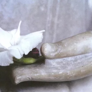 Imagem de capa para o Curso online Treinamento Perfumado com Maria Lúcia Lee