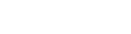 The Flow Academy logo