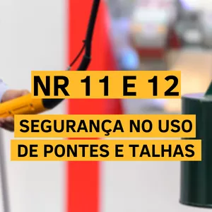 Imagem de capa para o Curso online NR 11 e 12 - SEGURANÇA NO USO DE PONTES E TALHAS