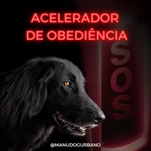 Imagem do curso Acelerador de Obediência SOS