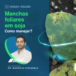 Imagem do curso Manchas foliares em soja: como manejar?