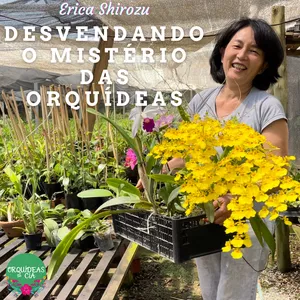 Desvendando os Mistérios das Orquídeas por Orquídeas &amp; Cia