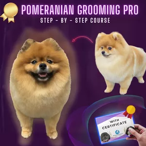 Cover image for Online course Pomeranian Grooming Pro