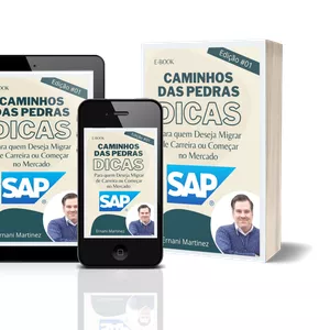 Imagem principal do produto e-book Caminhos das Pedras - Dicas para quem deseja Migrar de Carreira e entrar para o Mercado SAP