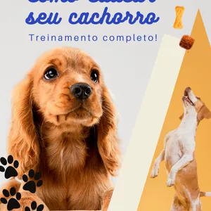 Imagem de capa para o Ebook COMO TREINAR E EDUCAR SEU CACHORRO